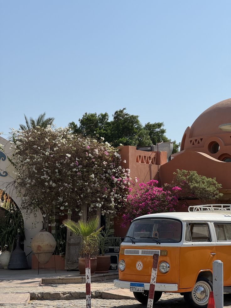 El Gouna Paradise x Ticketours